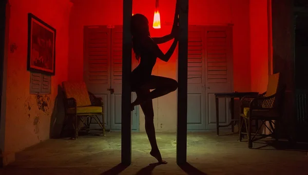 Sexy Woman Silhouette Dancing at the Hotel. Pole Dancer female S