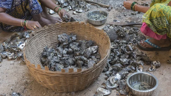 インドの女性が釣り後ムール貝を掃除します。魚の生活 — ストック写真