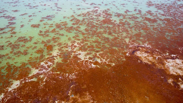 Minerali con zolfo sulla superficie dell'acqua. Bellissimo multicolore — Foto Stock