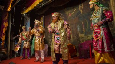 Goa, Hindistan, Ekim, 2017: Hint köy kedi, bilinmeyen oyuncu