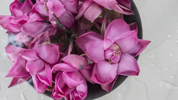 Beautiful Pink Lotus Flower Garlands close-up. Beauty, Wellness,