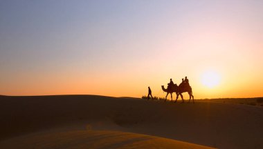 Gün batımında çölde deve silueti. Jaisalmer 'de Thar Çölü, Rajasthan, Hindistan. 
