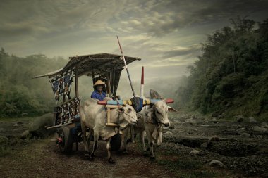 Endonezya ülkesinde geleneksel trakort