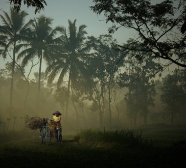 Sabahları bisiklet kullanarak saman taşımak.
