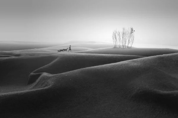 Hermosa Vista Sobre Desierto Las Personas Con Animales — Foto de Stock