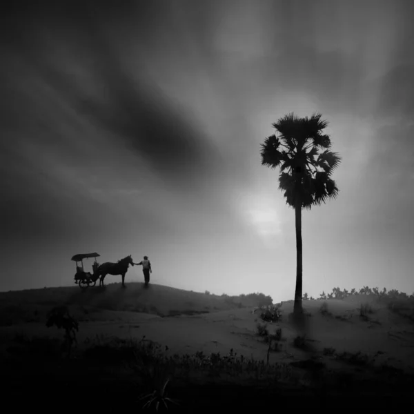 Черно Белые Фотографии Конный Повоз Пустыне — стоковое фото