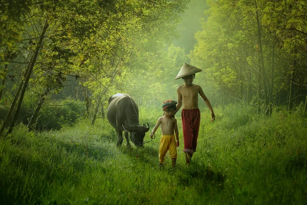 Rebanho Búfalo Atravessando Campo Yogyakarta Indonésia Abril 2015 — Fotografia de Stock