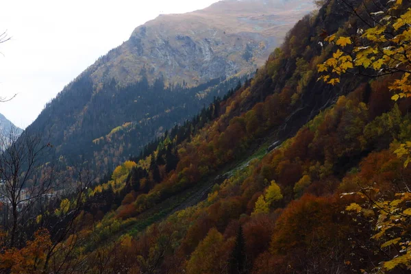 Il paesaggio autunnale di montagna con foresta colorata, montagne caucasiche, Dombay — Foto Stock