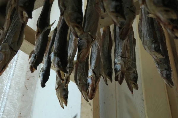 Stockfish on suolaamatonta kalaa, erityisesti turskaa, kuivataan kylmällä ilmalla ja tuuli puiset telineet — kuvapankkivalokuva