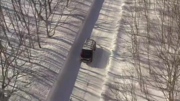 Aerial Drone View of a Crossover Driving on forest winter Road during a Cloudy Day. — ストック動画
