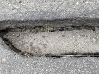 Eski çatlak asfalt yüzeyi. Arkaplan veya doku.