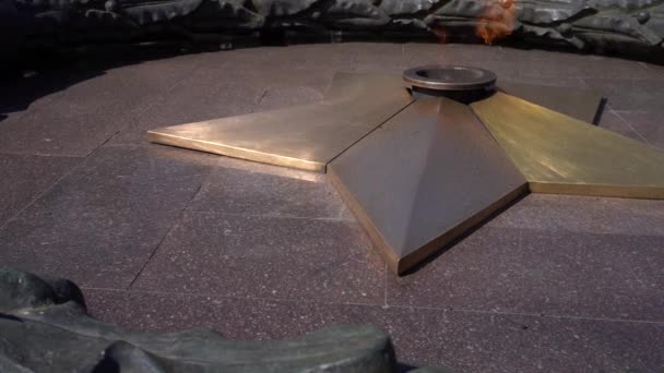 Quenchless Flame Bronze Star Tema För Andra Världskriget Monument Över — Stockvideo