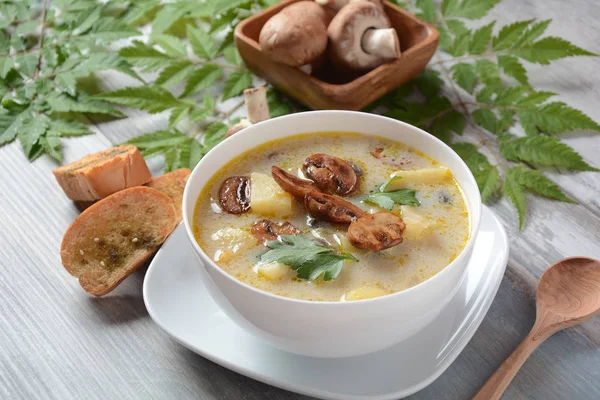 Delicious soup with mushrooms champignon and potato.Creamy Chanterelle Soup .Nordic cuisine. Vegan soup — Stock Image Delicious Soup Mushrooms Champignon Potato Creamy Chanterelle Soup Nordic Cuisine Stock Photo