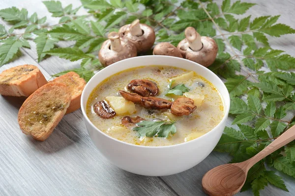 Delicious soup with mushrooms champignon and potato.Creamy Chanterelle Soup .Nordic cuisine. Vegan soup — Stock Image Delicious Soup Mushrooms Champignon Potato Creamy Chanterelle Soup Nordic Cuisine Stock Photo