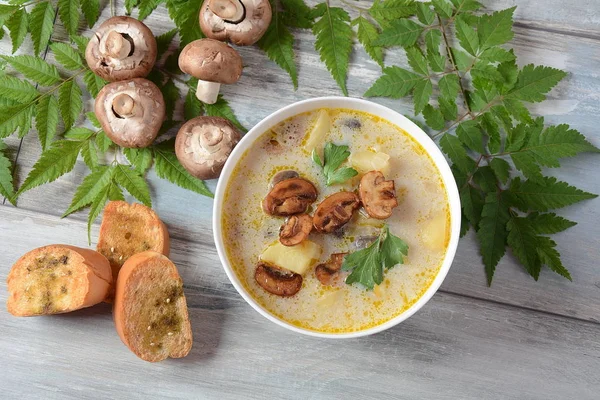 Delicious soup with mushrooms champignon and potato.Creamy Chanterelle Soup .Nordic cuisine. Vegan soup — Stock Image Delicious Soup Mushrooms Champignon Potato Creamy Chanterelle Soup Nordic Cuisine Stock Photo