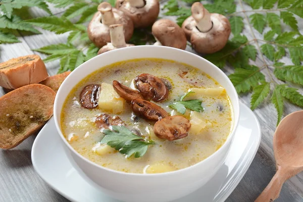 Delicious soup with mushrooms champignon and potato.Creamy Chanterelle Soup .Nordic cuisine. Vegan soup — Stock Image Delicious Soup Mushrooms Champignon Potato Creamy Chanterelle Soup Nordic Cuisine Stock Image