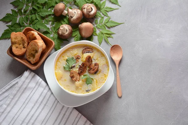 Delicious soup with mushrooms champignon and potato.Creamy Chanterelle Soup .Nordic cuisine. Vegan soup — Stock Image Delicious Soup Mushrooms Champignon Potato Creamy Chanterelle Soup Nordic Cuisine Stock Picture