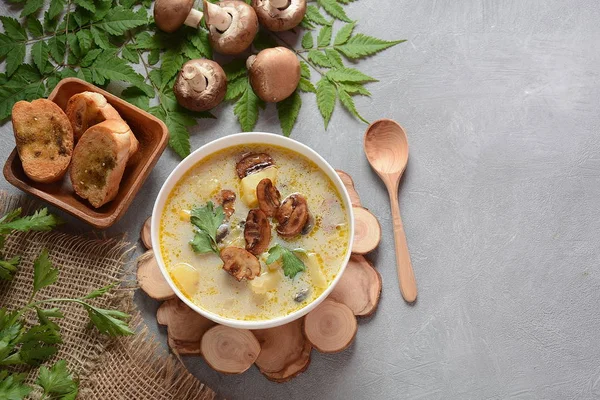 Delicious soup with mushrooms champignon and potato.Creamy Chanterelle Soup .Nordic cuisine. Vegan soup — Stock Image Delicious Soup Mushrooms Champignon Potato Creamy Chanterelle Soup Nordic Cuisine Stock Photo