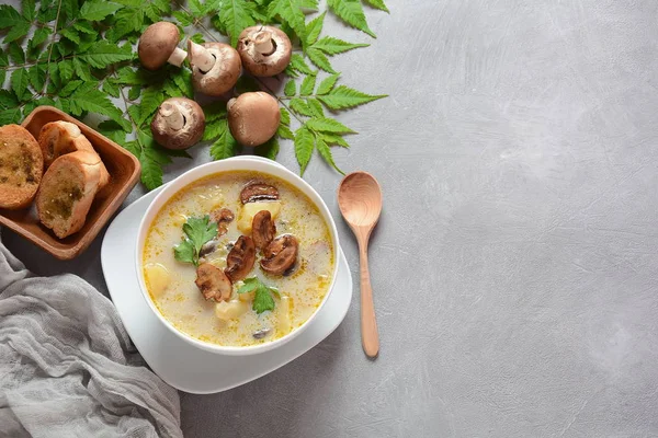 Delicious soup with mushrooms champignon and potato.Creamy Chanterelle Soup .Nordic cuisine. Vegan soup — Stock Image Delicious Soup Mushrooms Champignon Potato Creamy Chanterelle Soup Nordic Cuisine Royalty Free Stock Images
