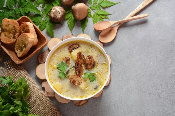 Delicious soup with mushrooms champignon and potato.Creamy Chanterelle Soup .Nordic cuisine. Vegan soup — Stock Image Delicious Soup Mushrooms Champignon Potato Creamy Chanterelle Soup Nordic Cuisine Stock Image