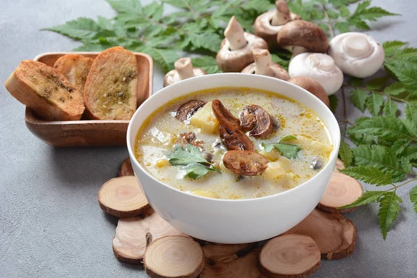 Delicious soup with mushrooms champignon and potato.Creamy Chanterelle Soup .Nordic cuisine. Vegan soup — Stock Image Delicious Soup Mushrooms Champignon Potato Creamy Chanterelle Soup Nordic Cuisine Royalty Free Stock Photos