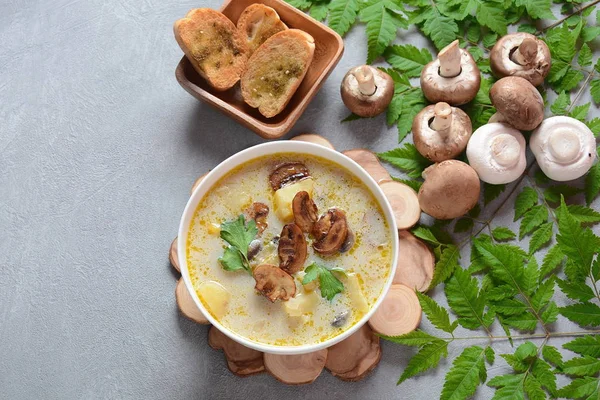 Delicious soup with mushrooms champignon and potato.Creamy Chanterelle Soup .Nordic cuisine. Vegan soup — Stock Image Delicious Soup Mushrooms Champignon Potato Creamy Chanterelle Soup Nordic Cuisine Royalty Free Stock Images