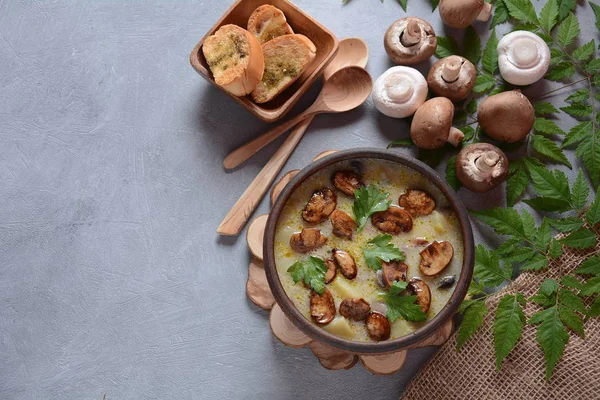 Delicious soup with mushrooms champignon and potato.Creamy Chanterelle Soup .Nordic cuisine. Vegan soup — Stock Image Delicious Soup Mushrooms Champignon Potato Creamy Chanterelle Soup Nordic Cuisine Stock Picture