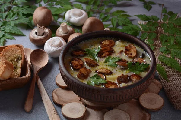 Delicious soup with mushrooms champignon and potato.Creamy Chanterelle Soup .Nordic cuisine. Vegan soup — Stock Image Delicious Soup Mushrooms Champignon Potato Creamy Chanterelle Soup Nordic Cuisine Stock Picture