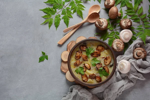 Delicious soup with mushrooms champignon and potato.Creamy Chanterelle Soup .Nordic cuisine. Vegan soup — Stock Image Delicious Soup Mushrooms Champignon Potato Creamy Chanterelle Soup Nordic Cuisine Royalty Free Stock Photos