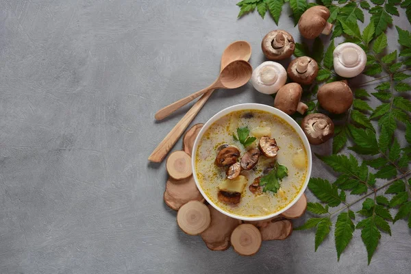 Delicious soup with mushrooms champignon and potato.Creamy Chanterelle Soup .Nordic cuisine. Vegan soup — Stock Image Delicious Soup Mushrooms Champignon Potato Creamy Chanterelle Soup Nordic Cuisine Stock Picture