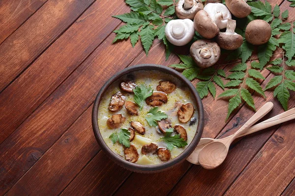 Delicious soup with mushrooms champignon and potato.Creamy Chanterelle Soup .Nordic cuisine. Vegan soup — Stock Image Delicious Soup Mushrooms Champignon Potato Creamy Chanterelle Soup Nordic Cuisine Stock Picture