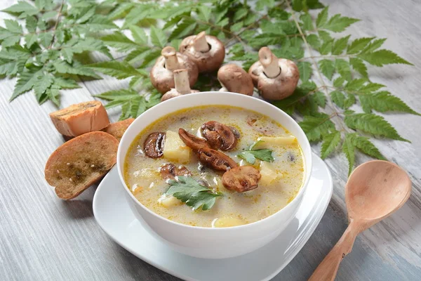Delicious soup with mushrooms champignon and potato.Creamy Chanterelle Soup .Nordic cuisine. Vegan soup — Stock Image Delicious Soup Mushrooms Champignon Potato Creamy Chanterelle Soup Nordic Cuisine Stock Image