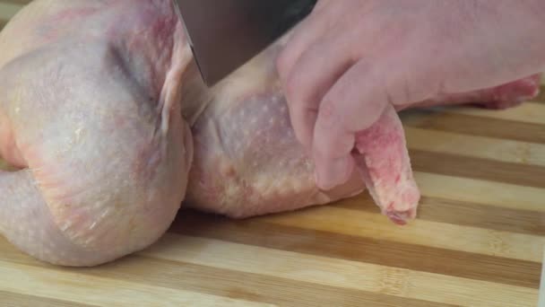 Vyřezávám Celé Syrové Kuře Porci Kuřecí Křídlo Pro Křupavé Pečené — Stock video