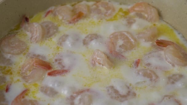 Shrimps Being Prepared Frying Pan Cream Sauce Bubbling Cream Sauce — Stock Video