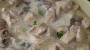 Tavuk etine taze doğranmış kişniş eklendi. Ağır çekim. Yakın çekim..