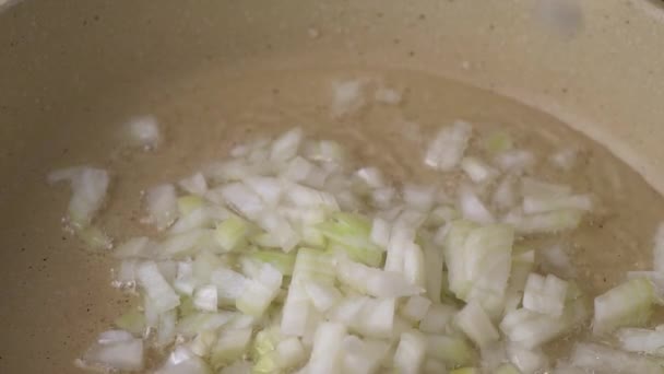 切好的洋葱被放进了一个白锅里 黄油在高温下融化 把煎锅包起来 自制的烹调 — 图库视频影像