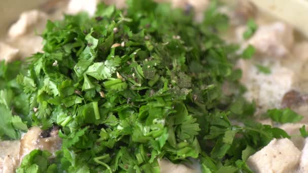 Stew Pile Coriander Chopped Leaves Seasoning Spices — Stock Video