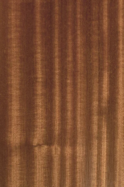 Texture of wood background with vertical wood fibers — Stock Photo, Image