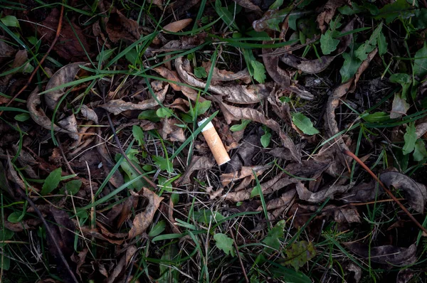 Cigarro entre grama verde, conceito de poluição ambiental . — Fotografia de Stock