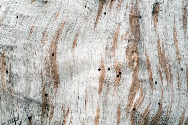 Texture bois brun, fond texturé bois abstrait . — Photo