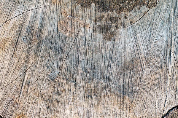 Anéis de madeira textura fundo. rachado corte de madeira . — Fotografia de Stock