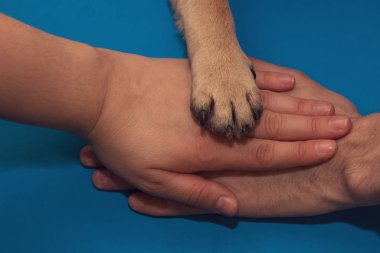 Hands and paws of all family members together.
