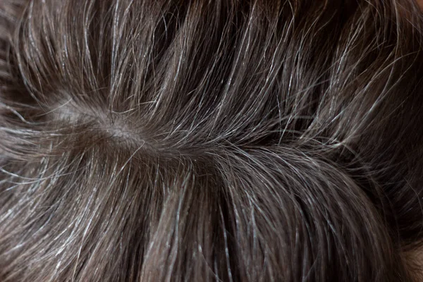 Going gray. Young woman shows her gray hair roots. selective focus. — Stock Photo, Image