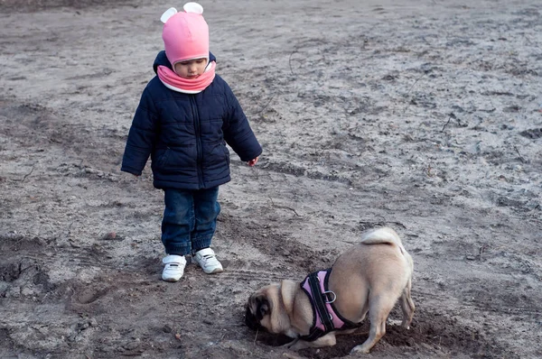Pes Pug Legrační Dívka Dítě Chůze Užívat Spolu Venku — Stock fotografie