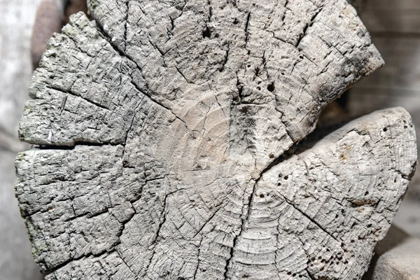 Starý Kulatý Pokácený Strom Každoročními Kruhy Prasklinami Dřevěná Textura — Stock fotografie