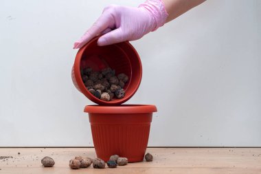 Eldiven katmanları, ev bitkisi nakli için küçük bir kap içinde kil toplamı drenajını genişletti.