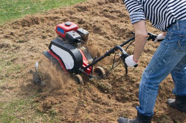 Man working in the garden with garden tiller. tractor cultivating and loosens soil field at spring clipart
