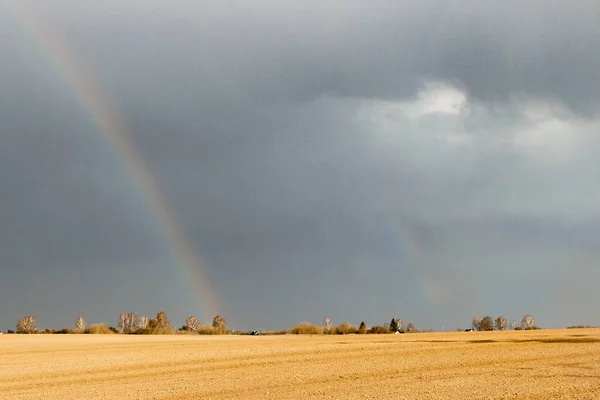 Rainbow on a dark sky above a yellow field with dry grass in the sunlight.