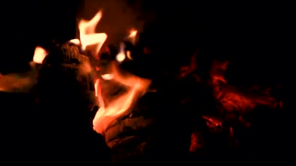 Brasa Con Lenguas Fuego Oscuridad Resplandor Brillo — Vídeos de Stock