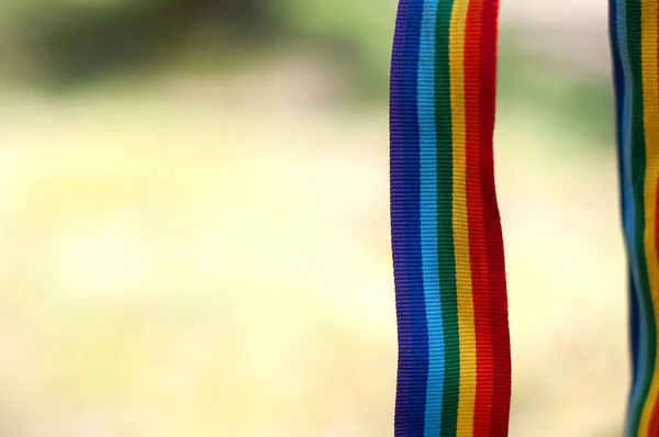 Fita Arco Íris Lgbt Dia Ensolarado Brilhante Parque Pendurado Galho — Fotografia de Stock